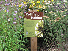 Pesticides in Your Garden