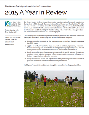 2015 annual report