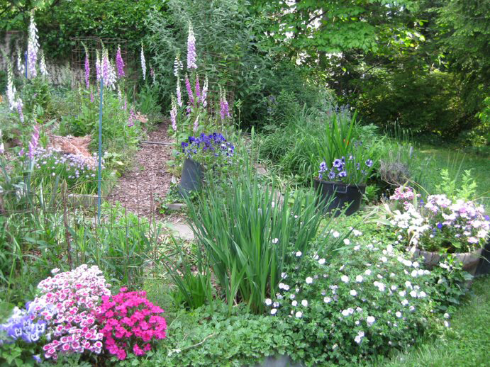 Large blooming garden within a yard space