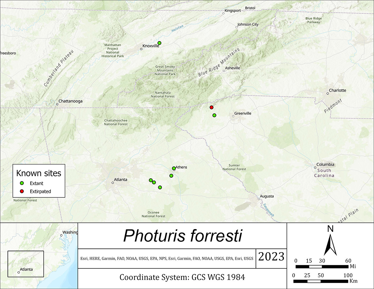 Map showing sites of loopy five firefly sightings in a few sites in Tennessee, Georgia, and South Carolina