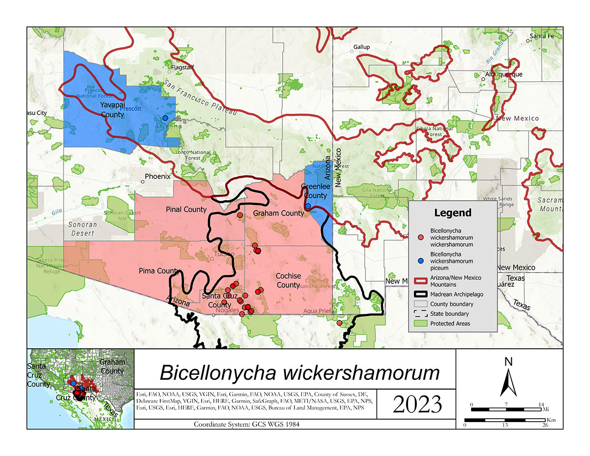 Map showing about 27 localities where the Southwest spring firefly have been found in Arizona and Mexico