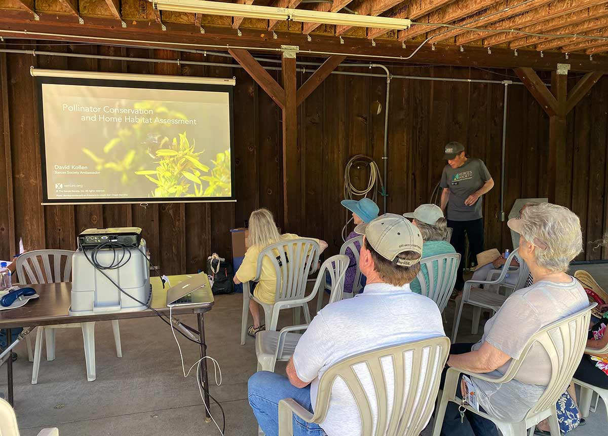 David Kollen dressed in Xerces Society gear, giving a presentation about pollinator conservation at home