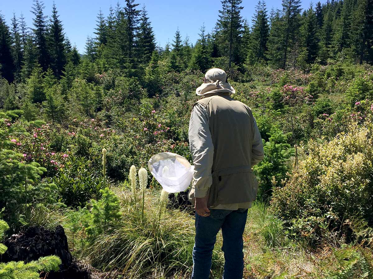 Kollen walking outdoors with a bumble bee net 