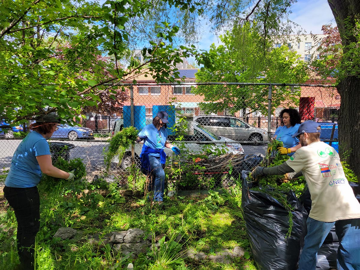 Volunteers weeding the garden of happiness&nbsp;