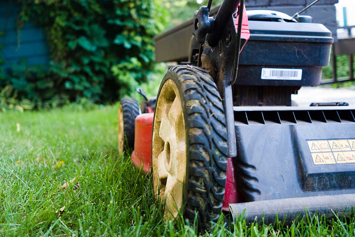 Lawn mower on grass