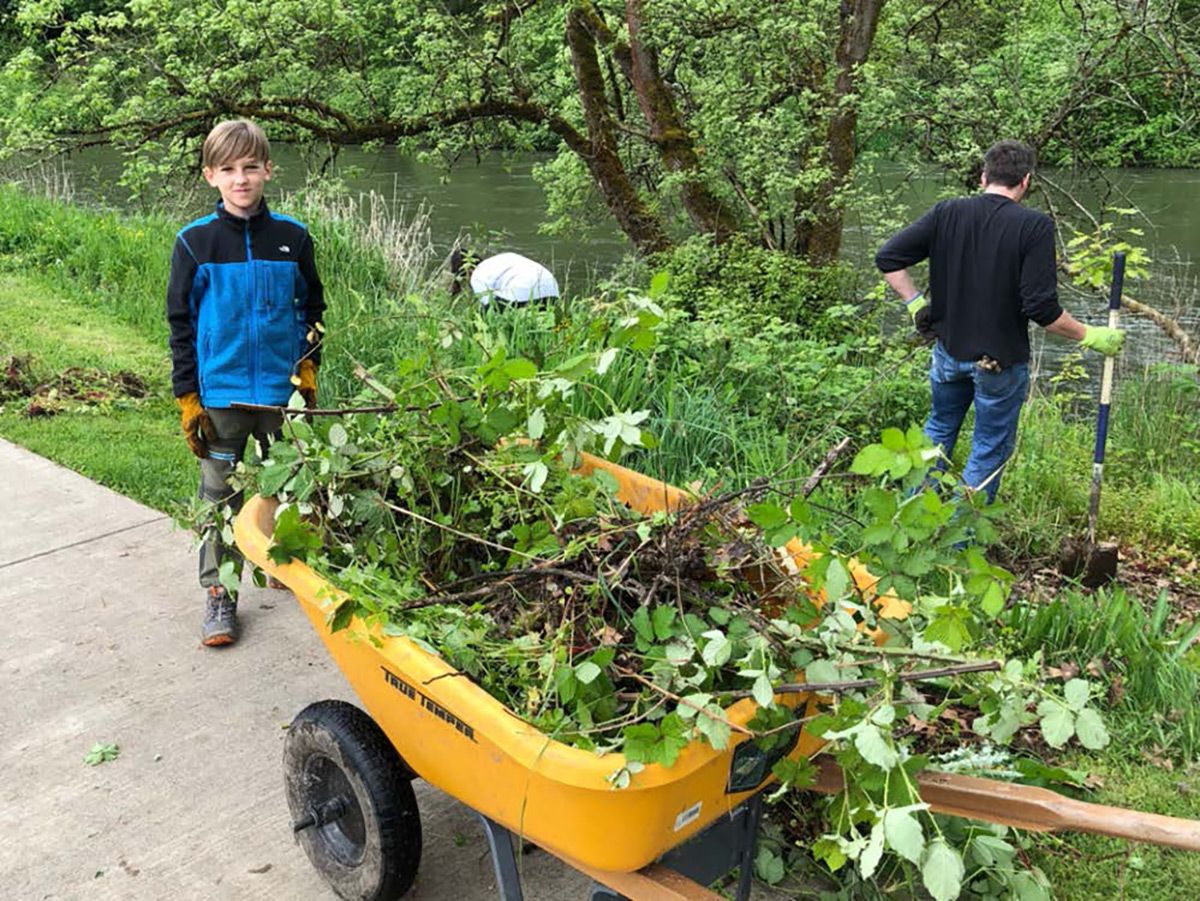 Crew of volunteers removing invasive plants