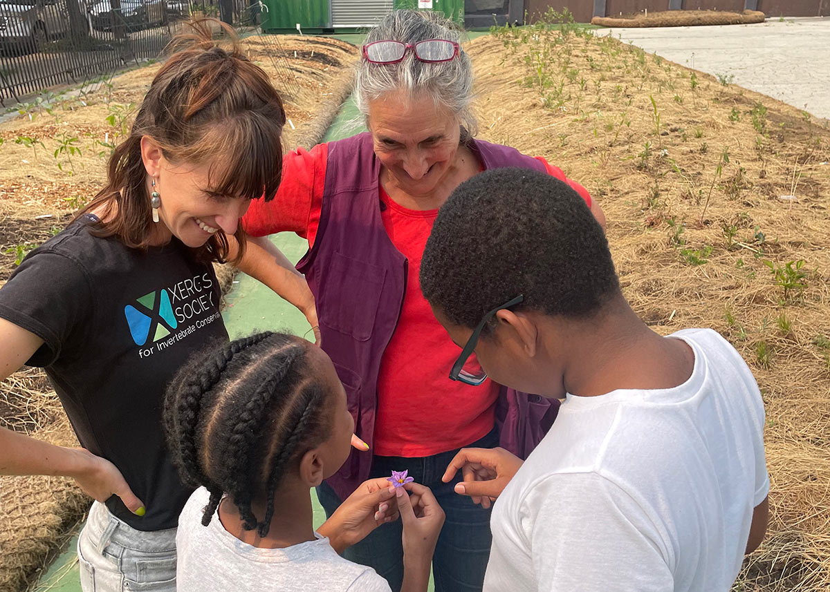 Kids and adults gather around the gardens