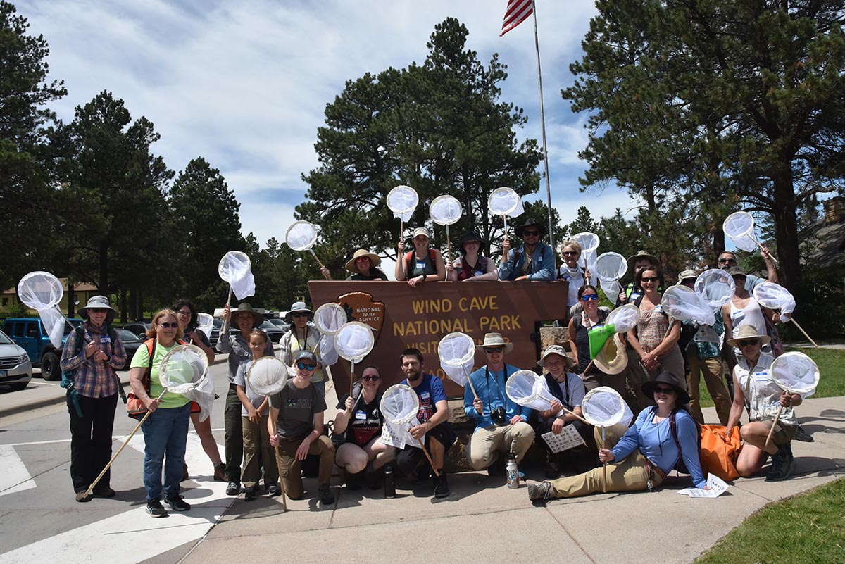 Group of about 25 people holding bug nets, cameras, and documents about bumble bees