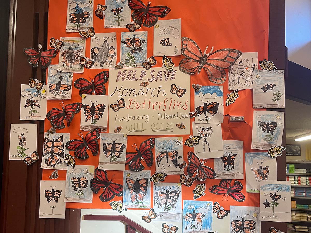 A wall filled with monarch art and a promotion for the fundraiser at school