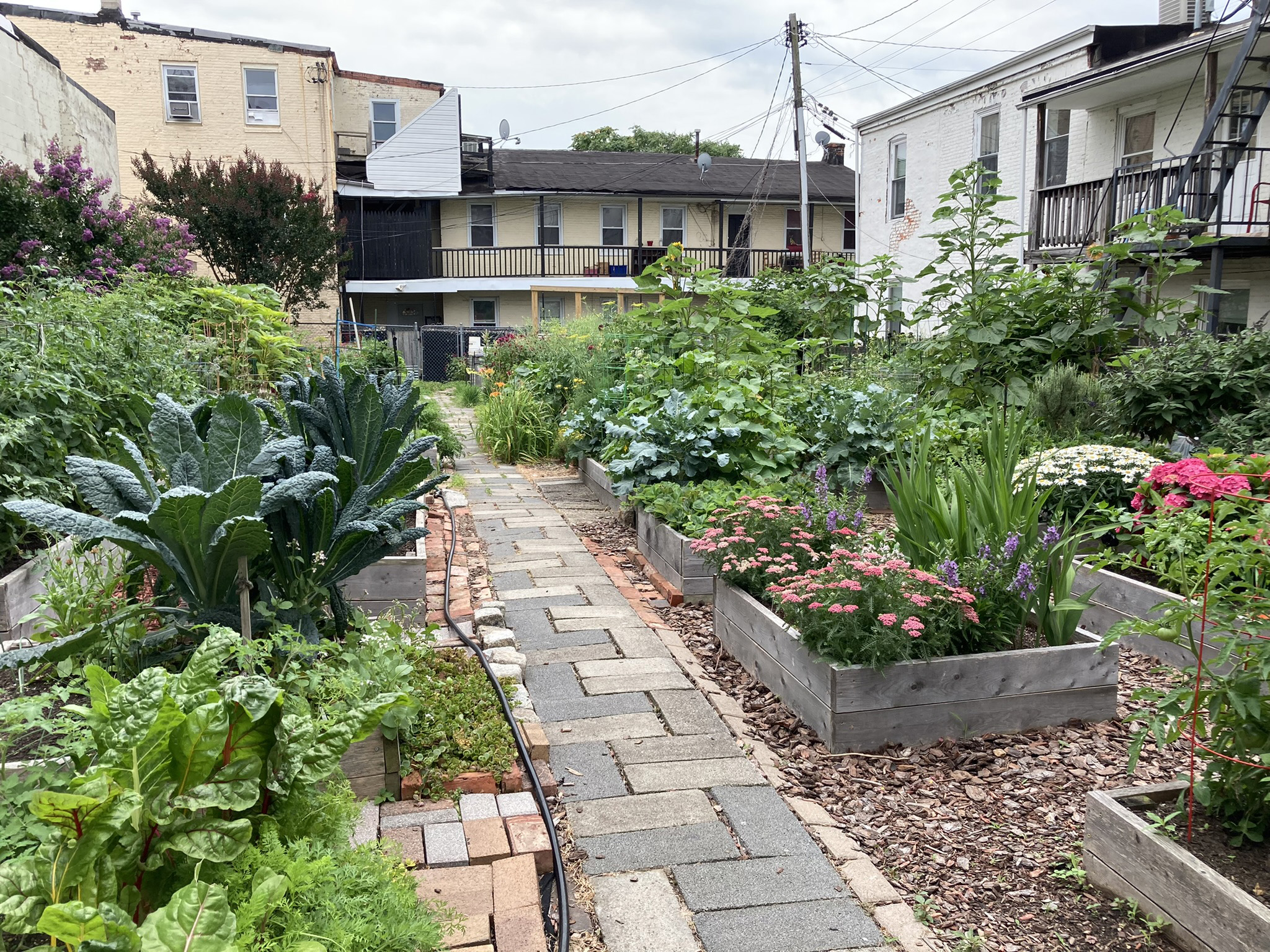 Raised garden beds growing flowers and produce, with brick paths leading around the garden