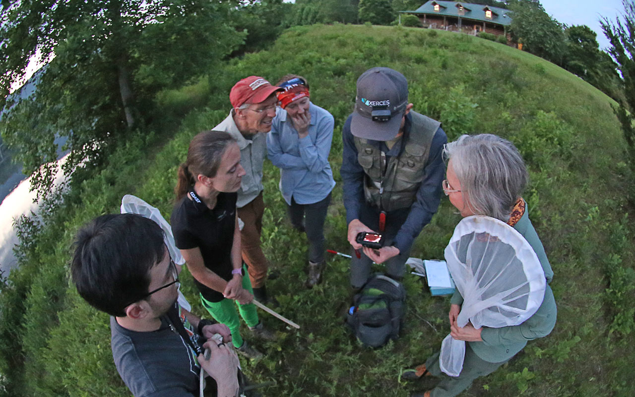 Several Firefly Atlas volunteers gathered around, looking at photos of a firefly they have just found.