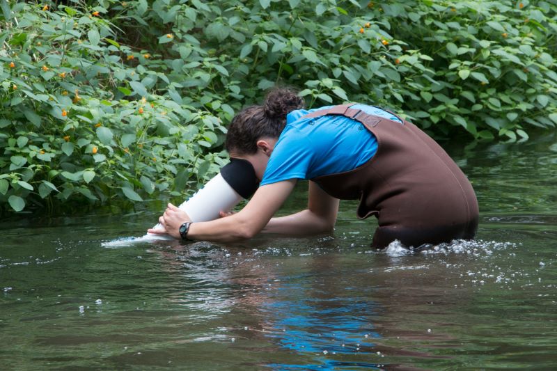 Scientists peers into a cylindrical device that allows her to see clearly into the water to survey for freshwater mussels