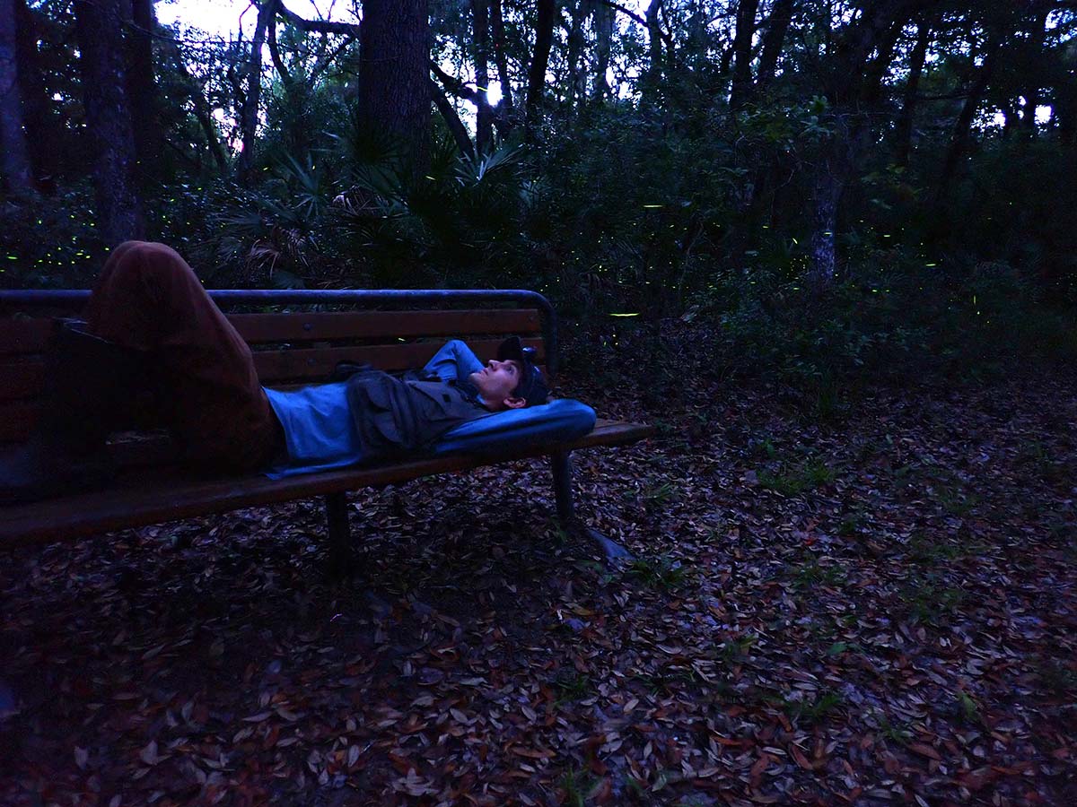 A person lays on a bench, watching the firefly flashes all around them.
