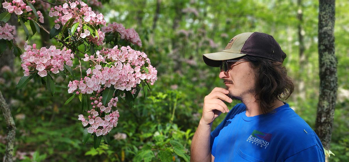 Jonathan McIntyre looking at some pink flowers on a branch