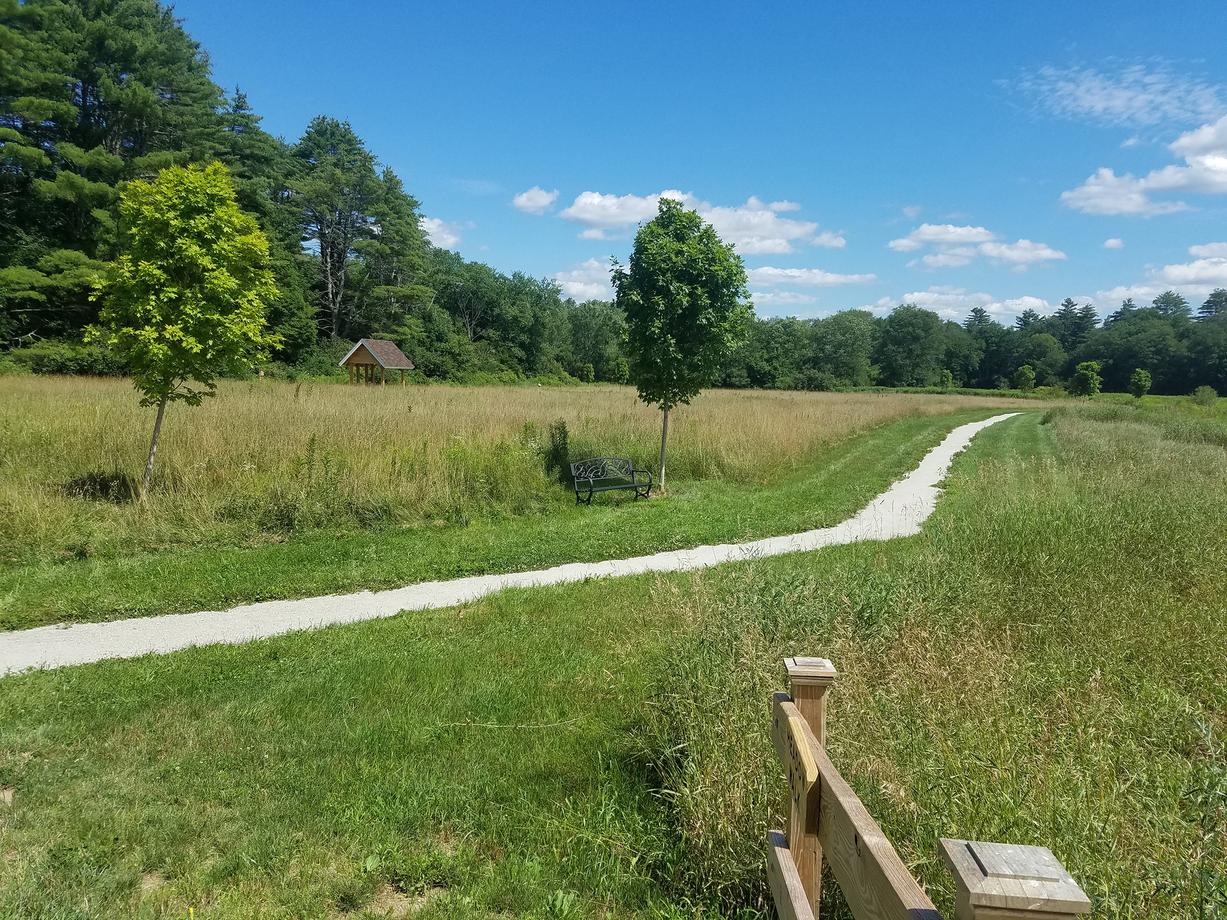 The long grass of this old hayfield is beginning to turn brown in the summer sunshine. A gravel path leads through it to a distant shelter.