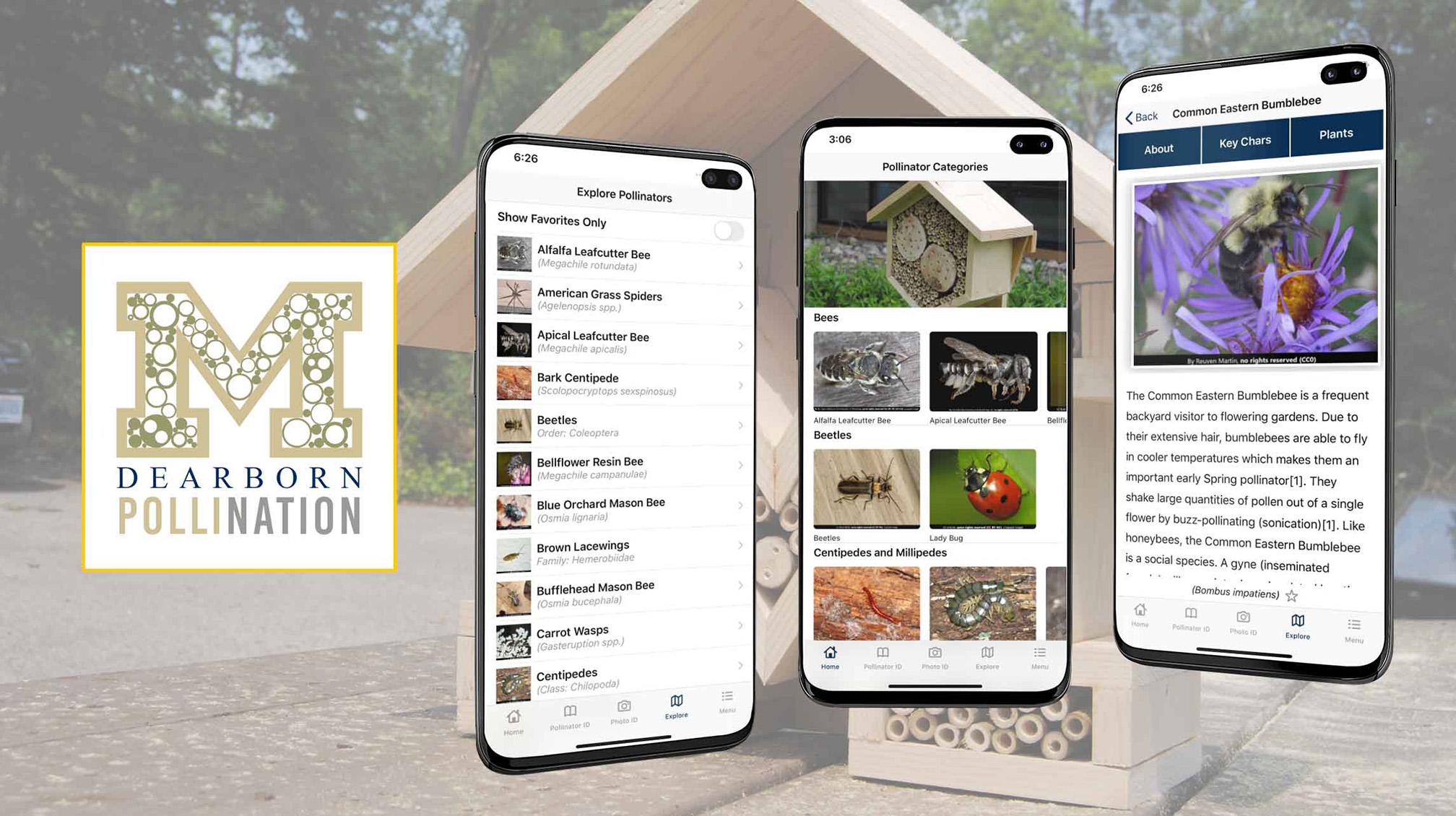 A promotional image for a smartphone app to help identify bees and other pollinators. The image includes three photos of smartphones showing different features of the app