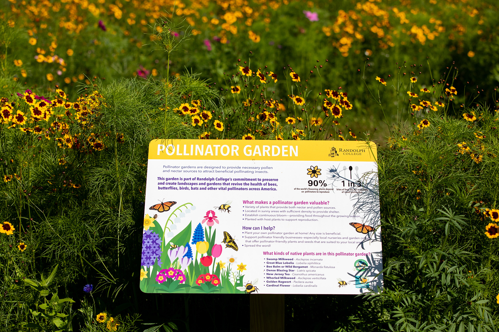 A pollinator garden full of yellow-and-red and pink flowers. In the center is a sign that says "Pollinator Garden" and has colorful illustrations of flowers, butterflies, and bees.