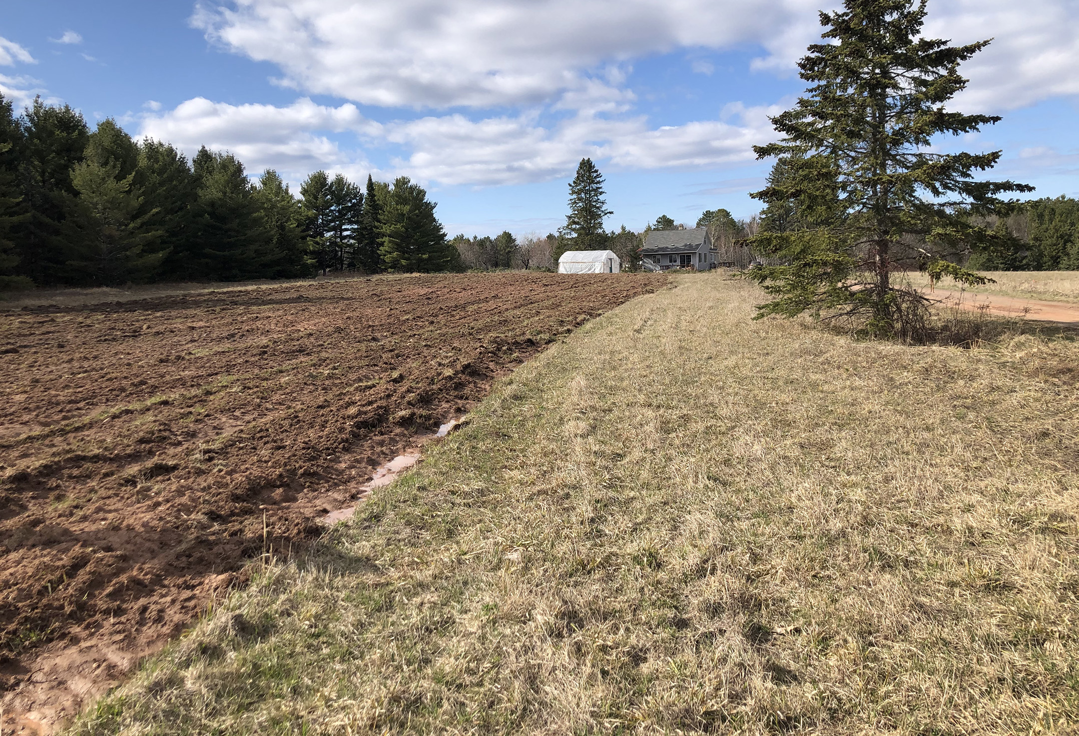 A flat area of farm fields surrounded by trees. The left hand half of the field has been plowed and cultivated; the right hand side is still grass.
