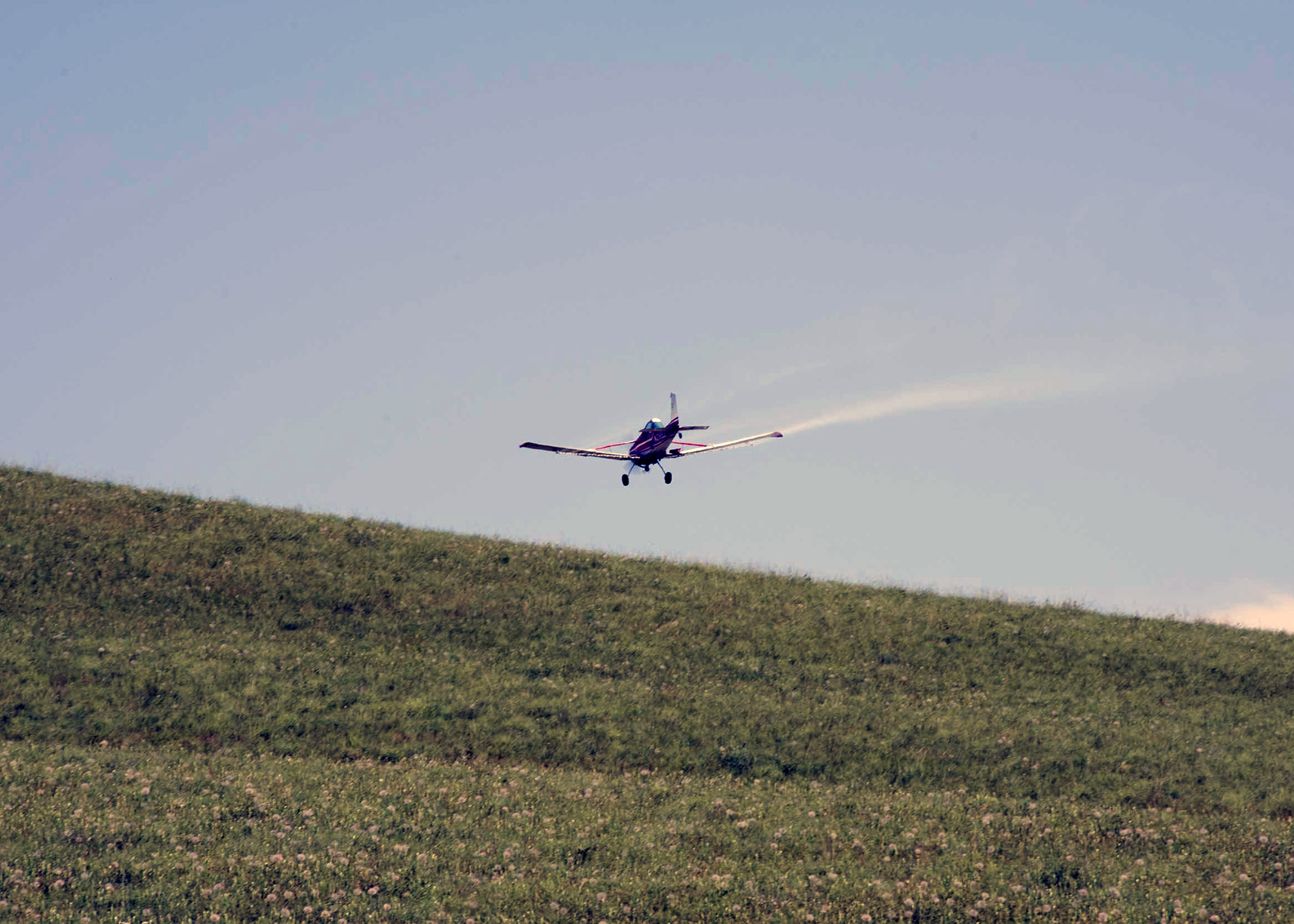In this photo we look up at a small hill as a red plane flies overhead and away from where we stand. The hillside is covered in pink flowers. The plane has a trail of pesticide mist released from its wings.