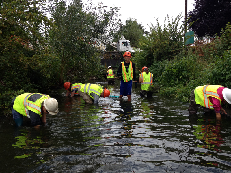 Volunteers assist in retrieving, measuring, tagging, and relocating some 2000 mussels from Crystal Spring Creek on July 8th. Photo Sarina Jepsen / Xerces Society