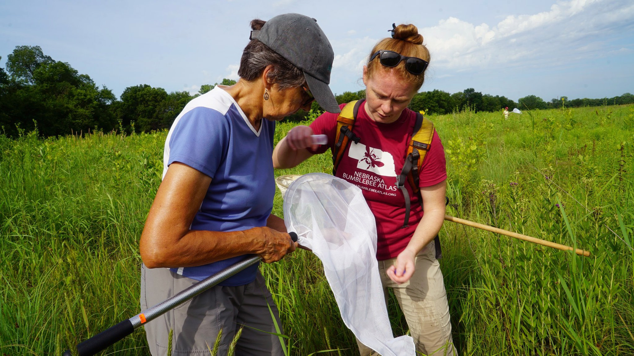 Two women, one with dark hair and a hat, and one with bright red hair, look at a white insect net while standing in a grassy field.
