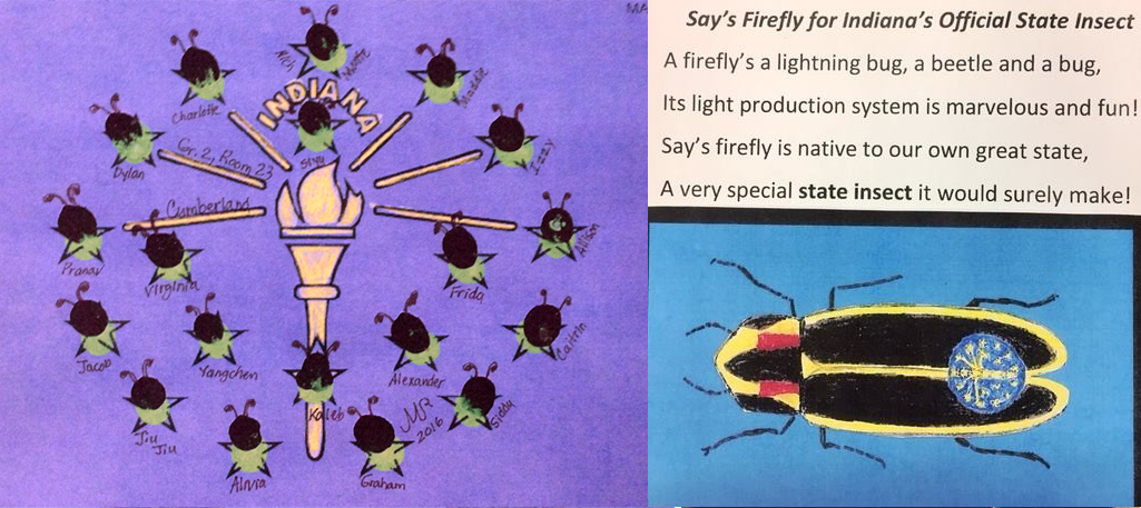 indiana state flag and lobbying materials