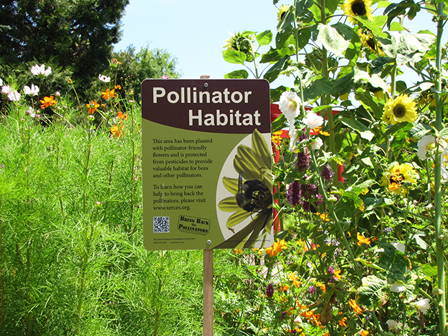 A Xerces Society pollinator habitat sign stands proudly in a lush garden.