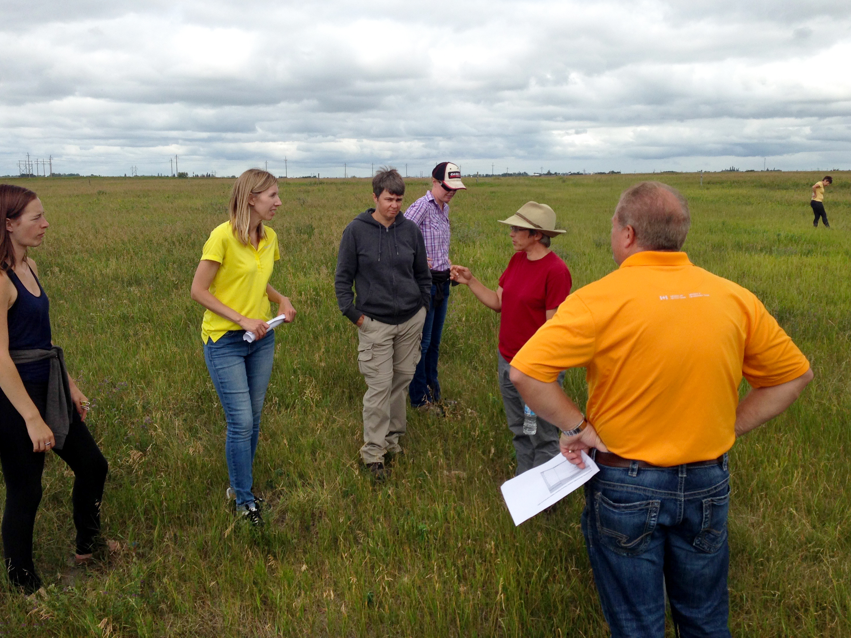 A group of people is gathered in a field. Various pairings and small groups are talking to one another.