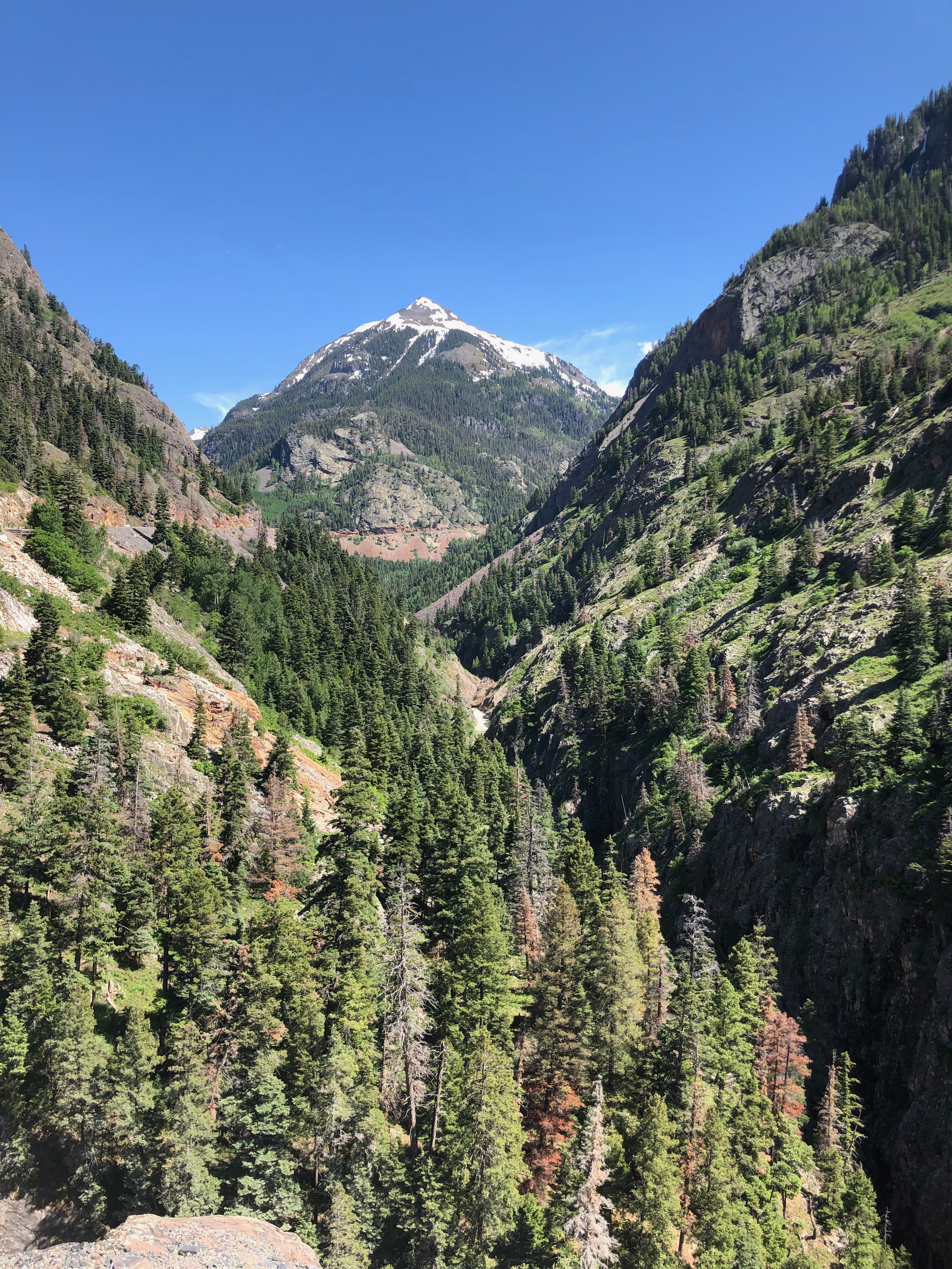 Rugged mountains dotted with pine trees.