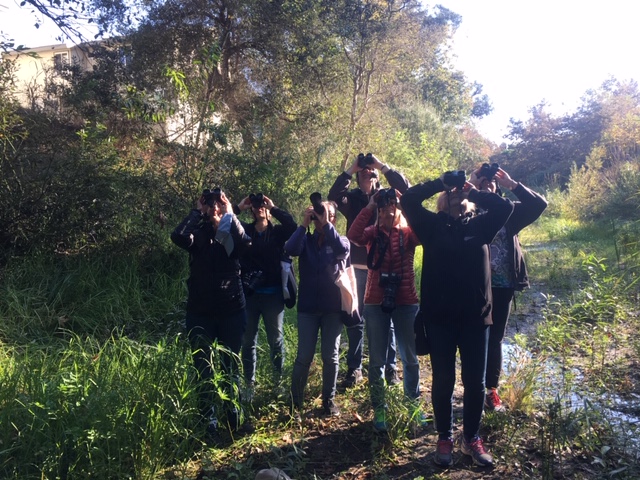 A group of people stands in an open space under trees and looks upward through binoculars.