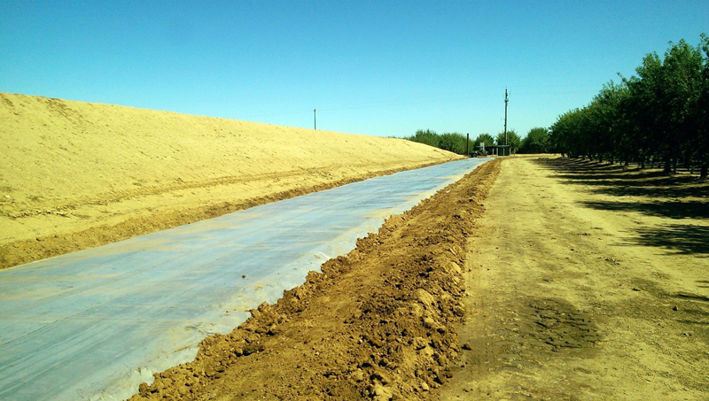 solarization being used to prepare a site for pollinator habitat alongside an almond orchard