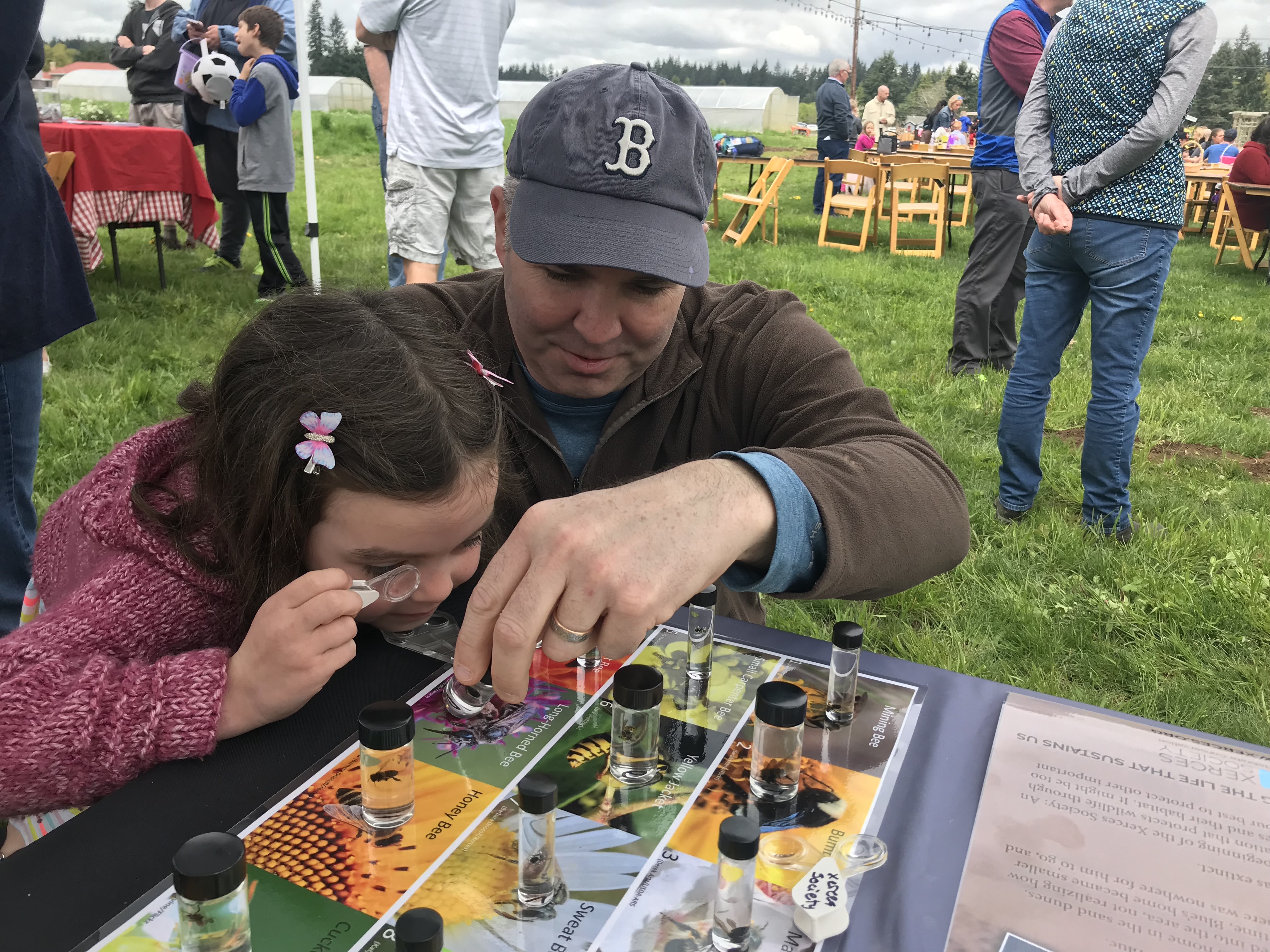 A man and a young girl peer at a series of glass vials containing bee specimens, atop a table adorned with brightly-colored photos of bee species.