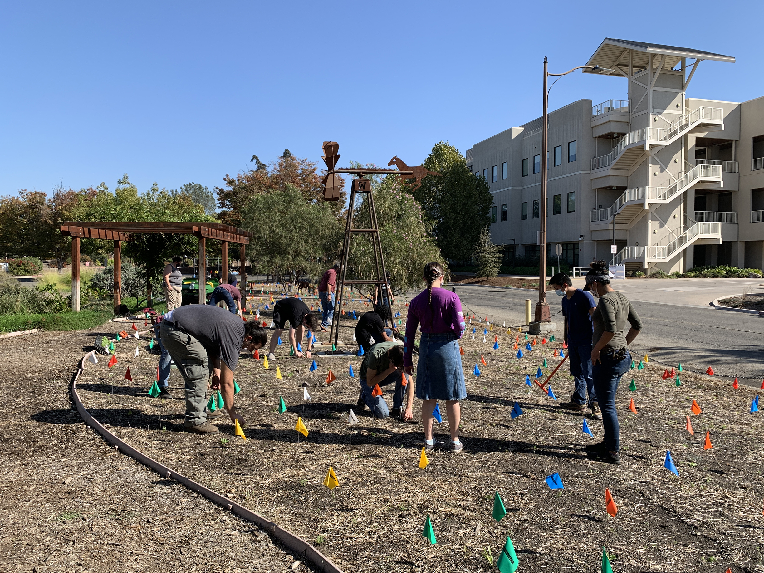 A group of students and staff plant a new garden on the campus of a community college