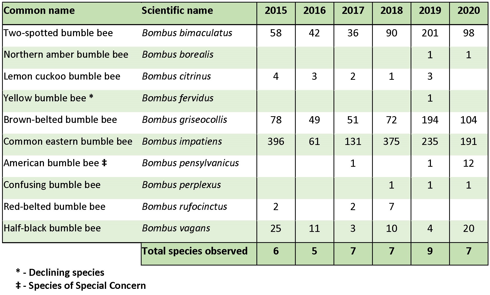 A table showing the species and numbers of bumble bees recorded during surveys