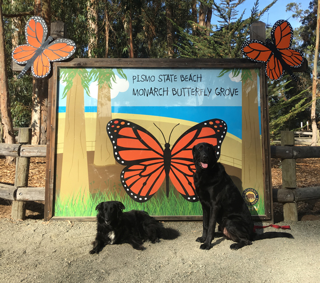 welcome to pismo beach sign