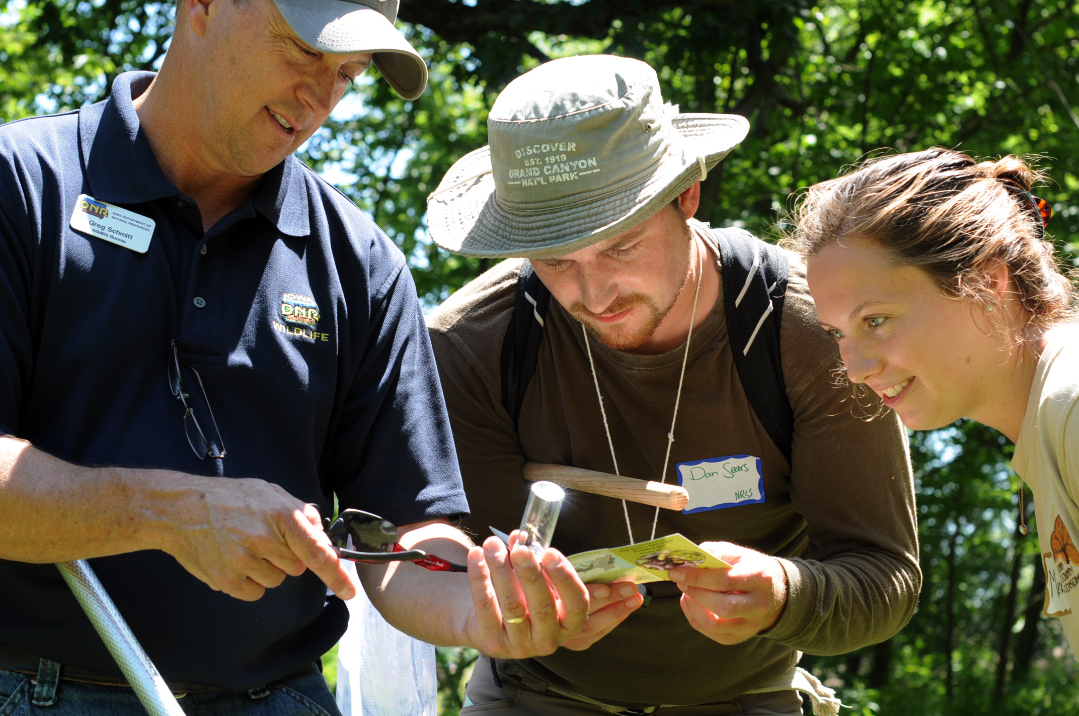 Three people look closely at a bumble bee in a glass vial, and a small pamphlet.