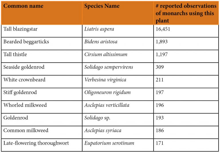 top 10 list of monarch nectar plants