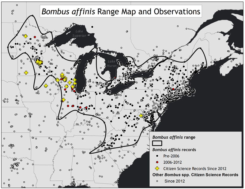 This map shows the historic range of&nbsp;B. affinis&nbsp;and the most recent sightings of the species. (Mostly clustered in the eastern U.S.)