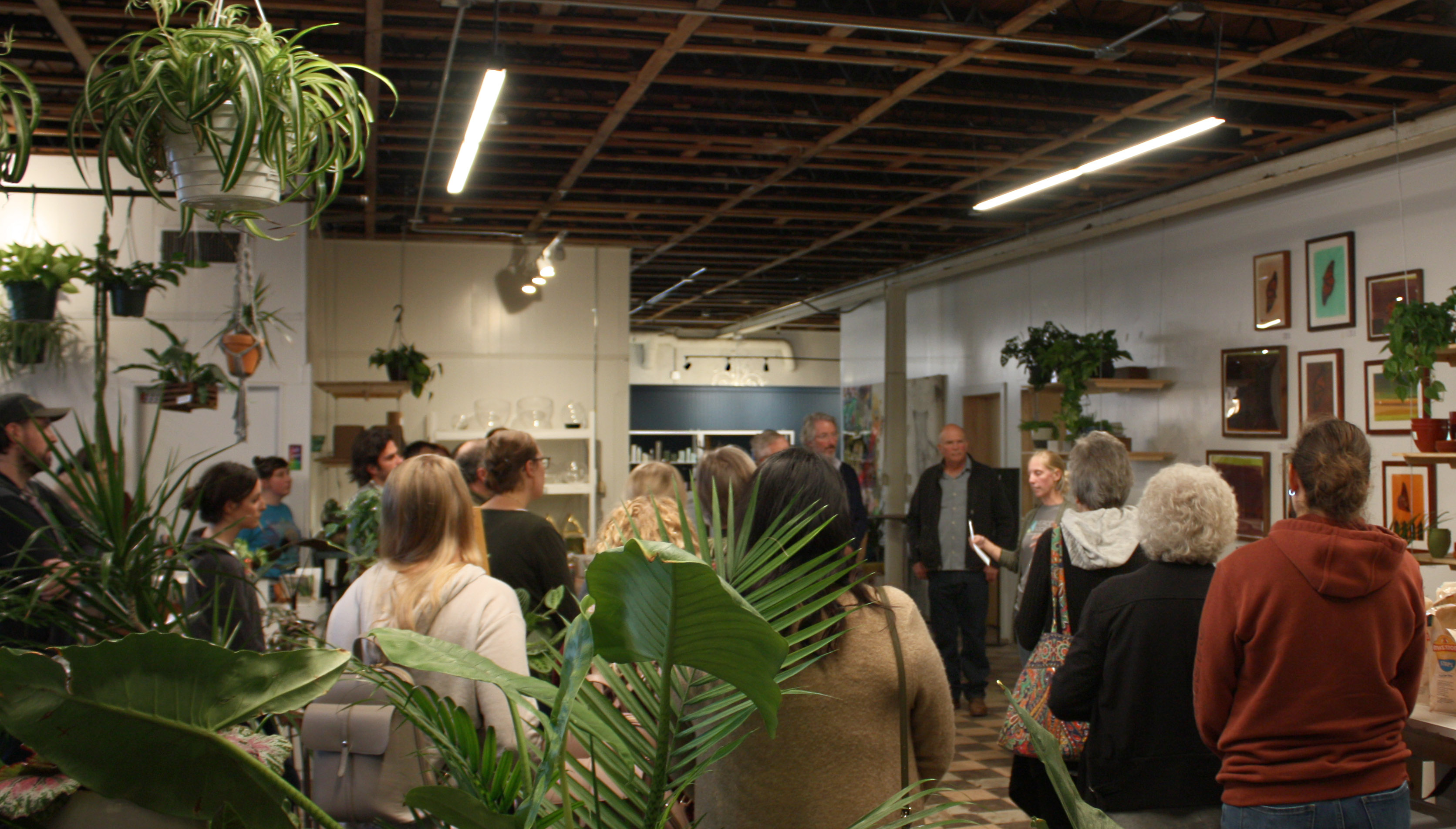 A woman holding a piece of paper and wearing a Xerces Society logo shirt speaks to a packed room of people, all of whom are surrounded by houseplants of various sizes and species. On the wall behind the woman presenting is a series of paintings that feature monarch butterflies. The artist who created the pieces, a man with a pale blue button-down shirt and a dark blue jacket, is standing near the speaker as if he's waiting to step on stage (he is).