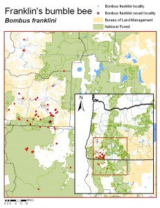 A map of southern Oregon and northern California with dots showing the locations where B. franklini has been sited. 