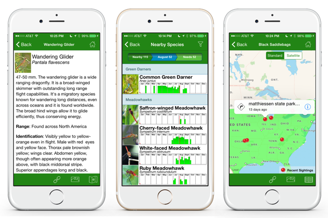 Three aspects of the dragonfly app are shown in three parallel screenshots.