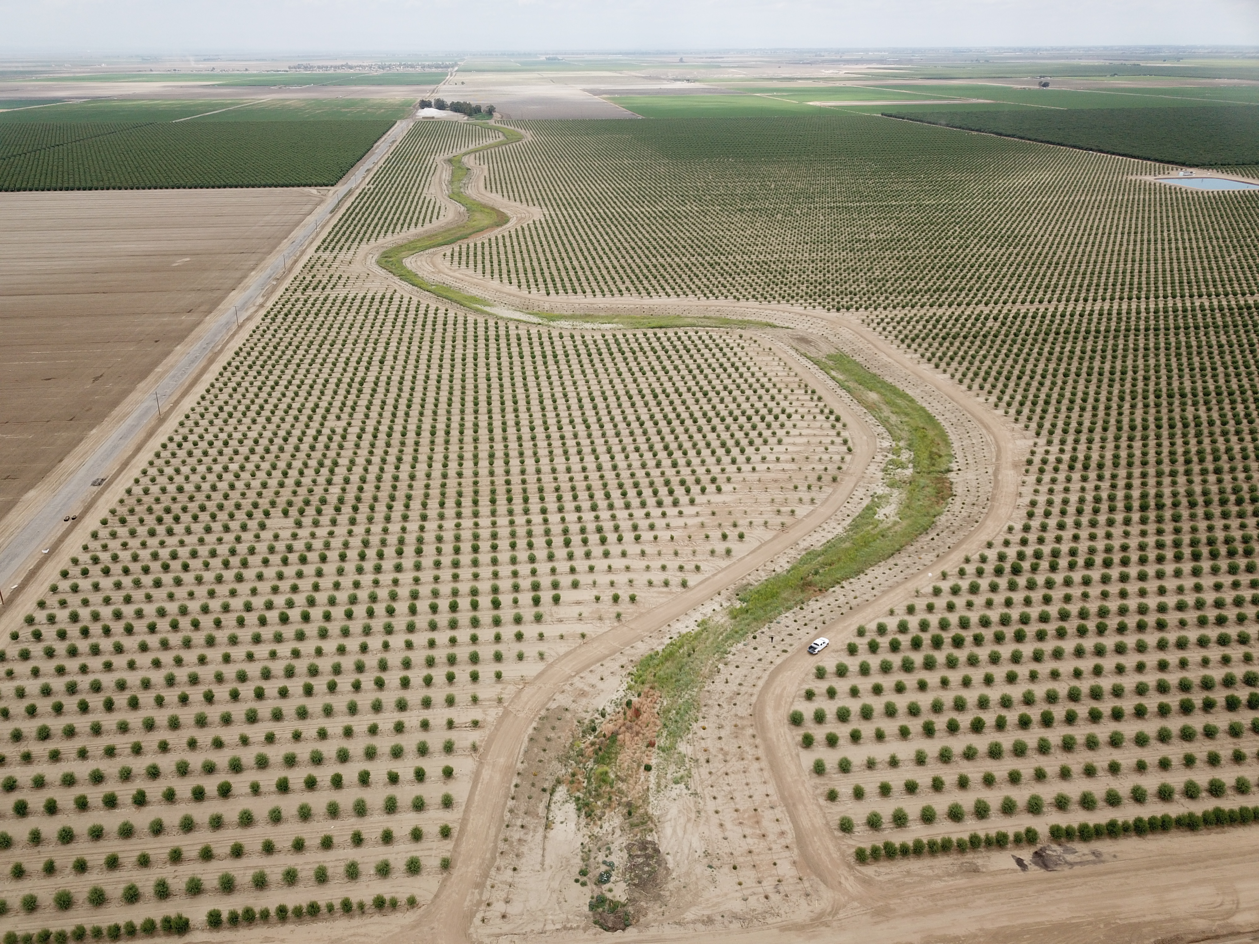 Aerial view of farmland showing mile-long area planted with pollinator habitat