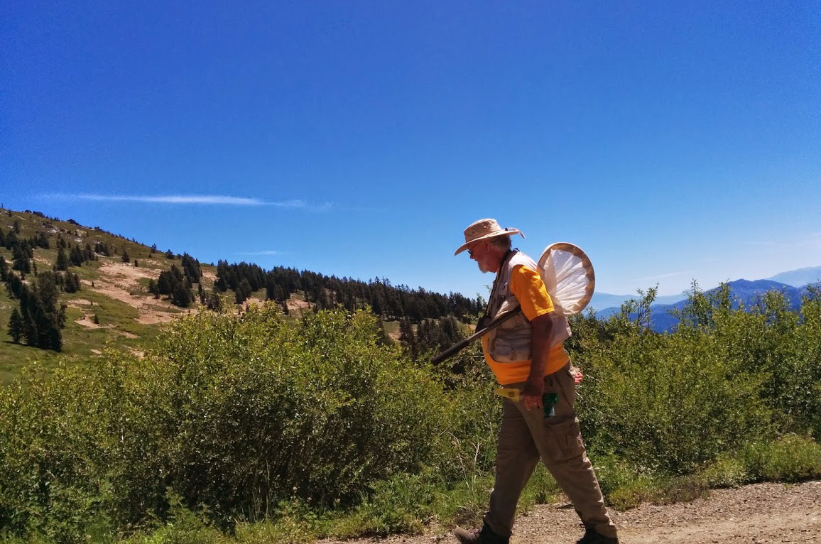 Robin Thorp walking across a field with a bug net over his shoulder. 