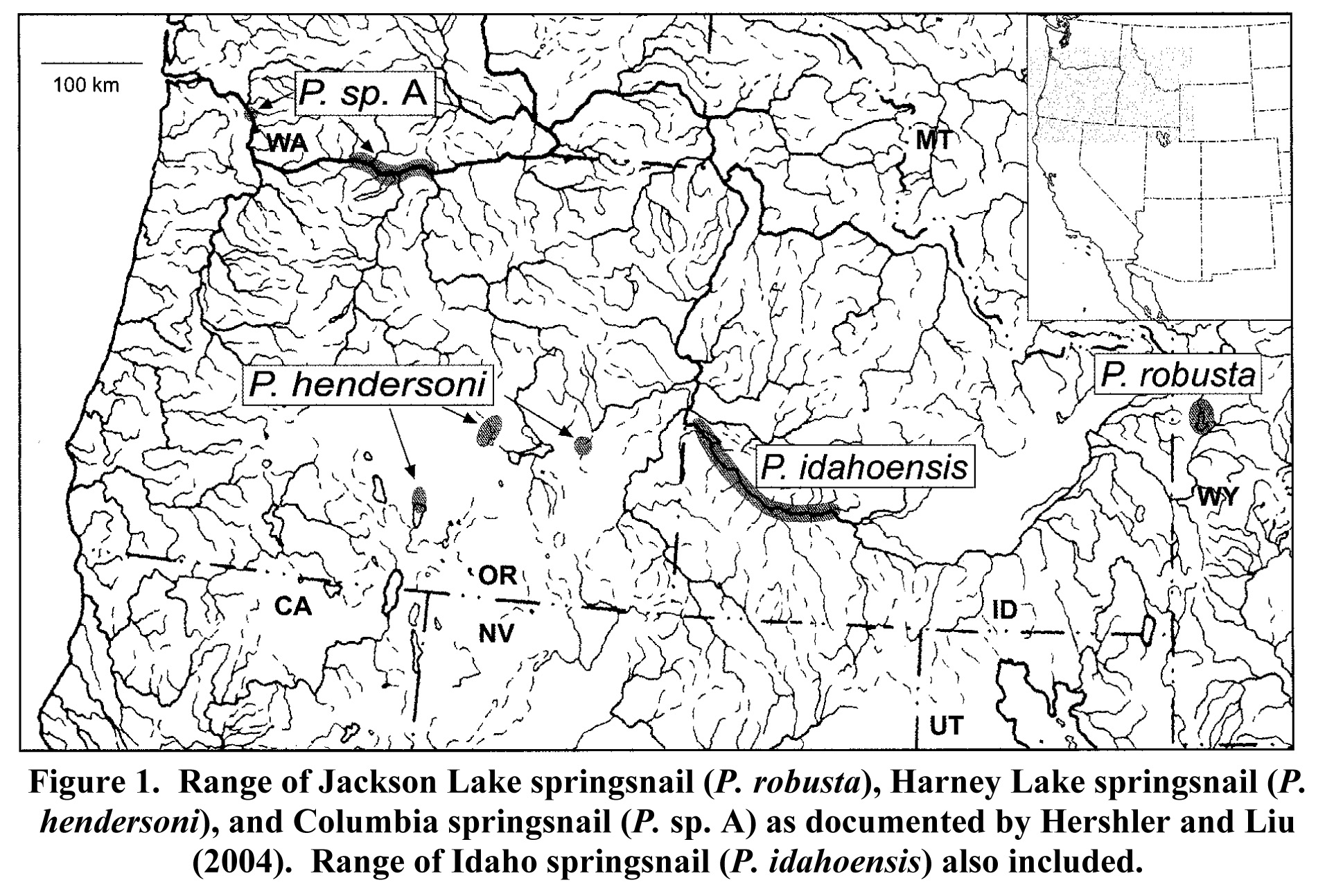 Map showing ranges of these species of springsnails in Oregon, Washington, and Wyoming