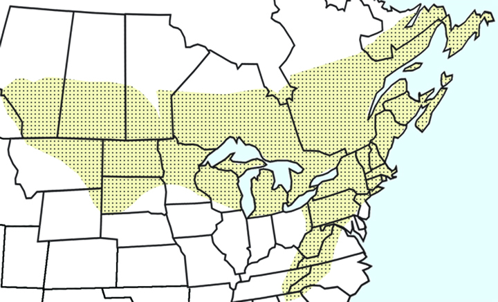 A map showing the historic distribution of B. terricola. 
