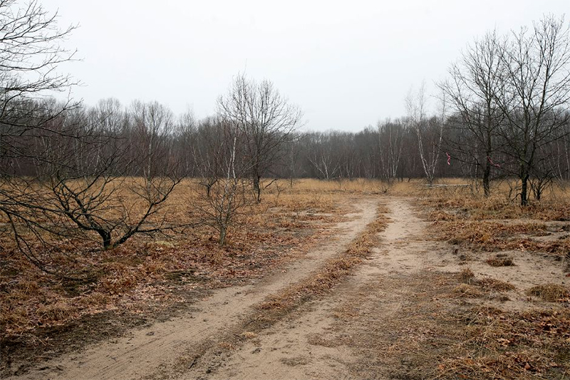 wallingford sandplains