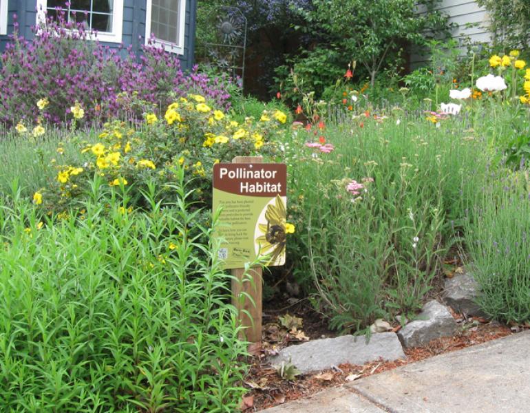 pollinator garden with a pollinator habitat sign