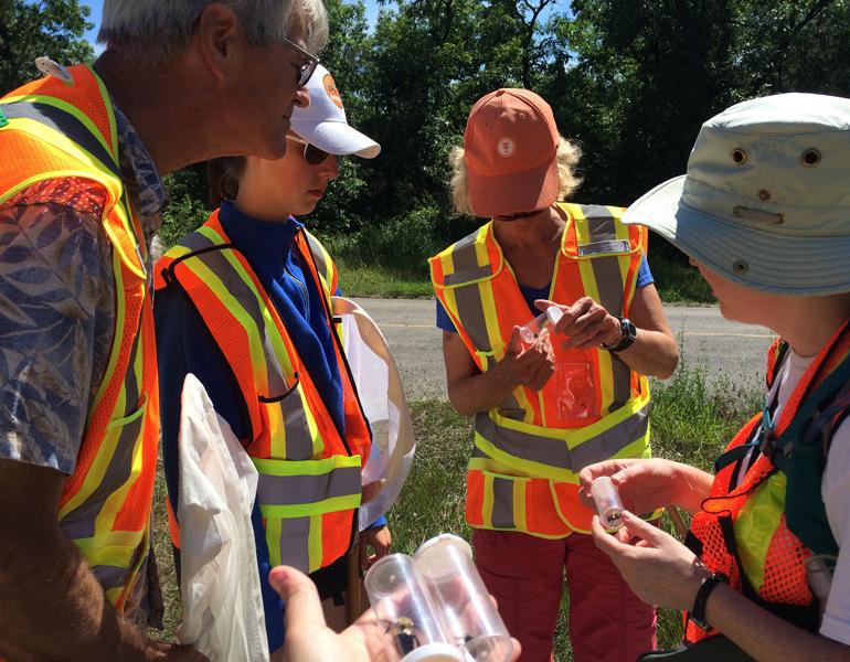 volunteers at survey