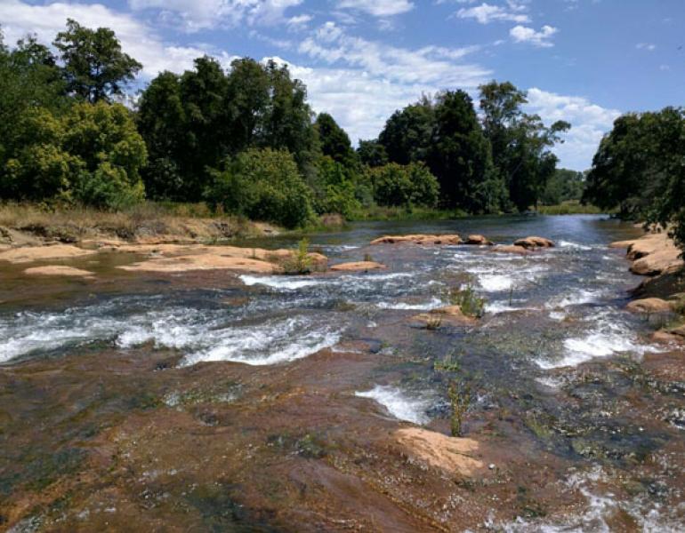 american river in ca