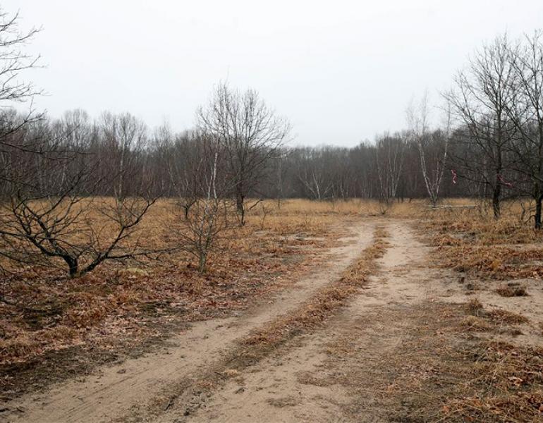 wallingford sand plains
